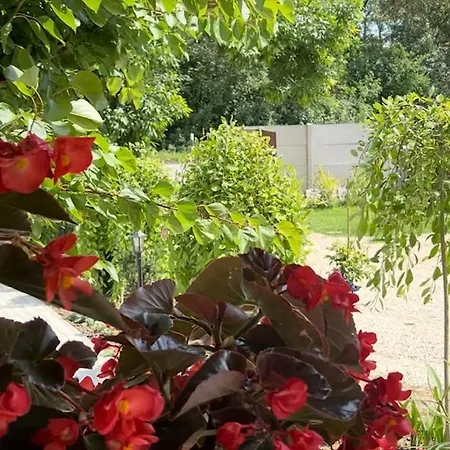 Arany Vendeghaz * Szarvas