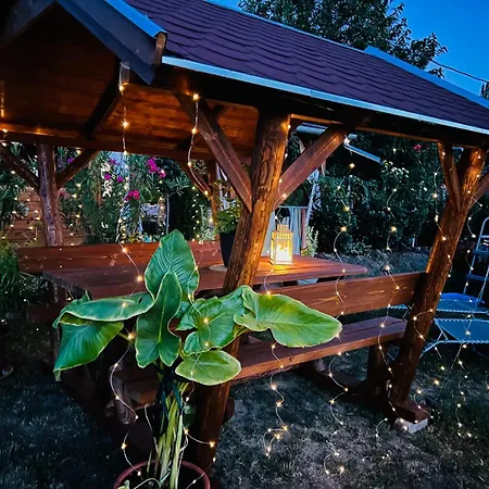 Ferienhaus Arany Vendeghaz Szarvas