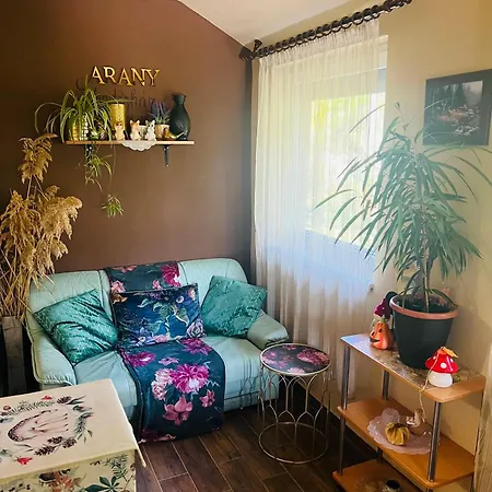 Vakantiehuis Arany Vendeghaz