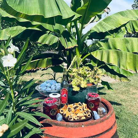 Vakantiehuis Arany Vendeghaz Szarvas