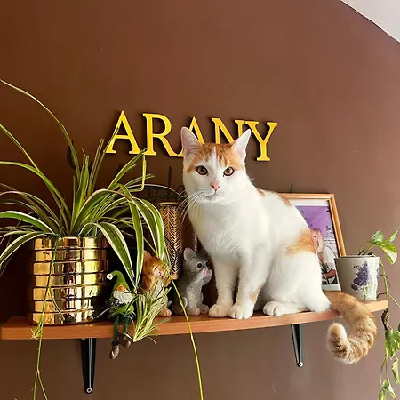 Arany Vendeghaz Vakantiehuis