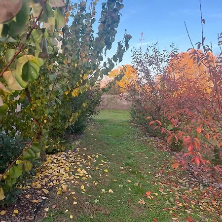 Vakantiehuis Arany Vendeghaz *