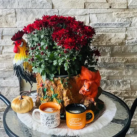 Vakantiehuis Arany Vendeghaz *