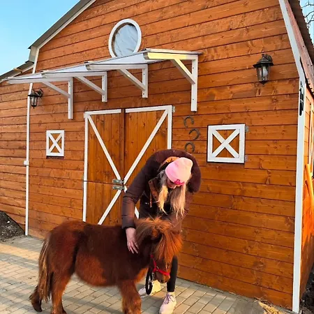 Arany Vendeghaz Szarvas