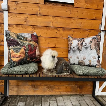 Arany Vendeghaz Vakantiehuis *