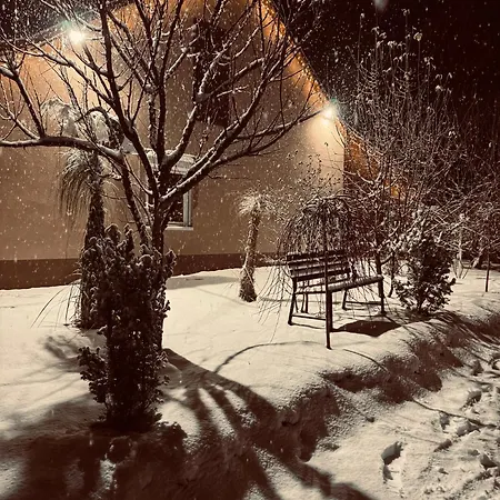 Arany Vendeghaz Sarvaš
