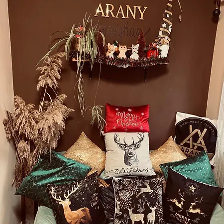 Prázdninový dům Arany Vendeghaz