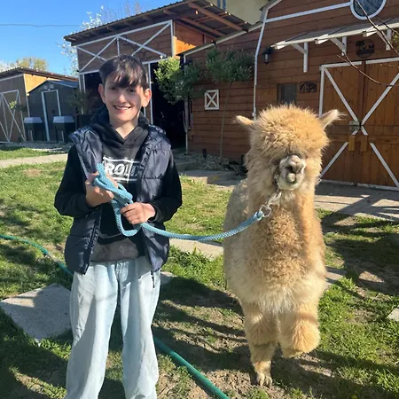 Arany Vendeghaz Szarvas